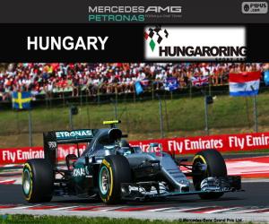 yapboz N. Rosberg 2016 GP Macaristan